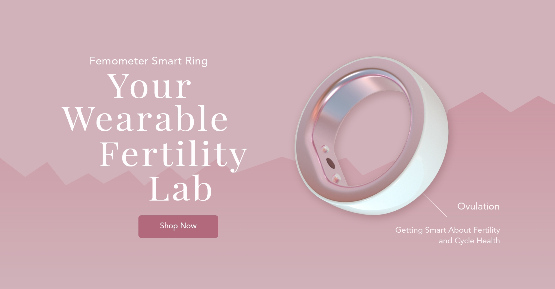 Femometer smart ring your wearable fertility lab pc